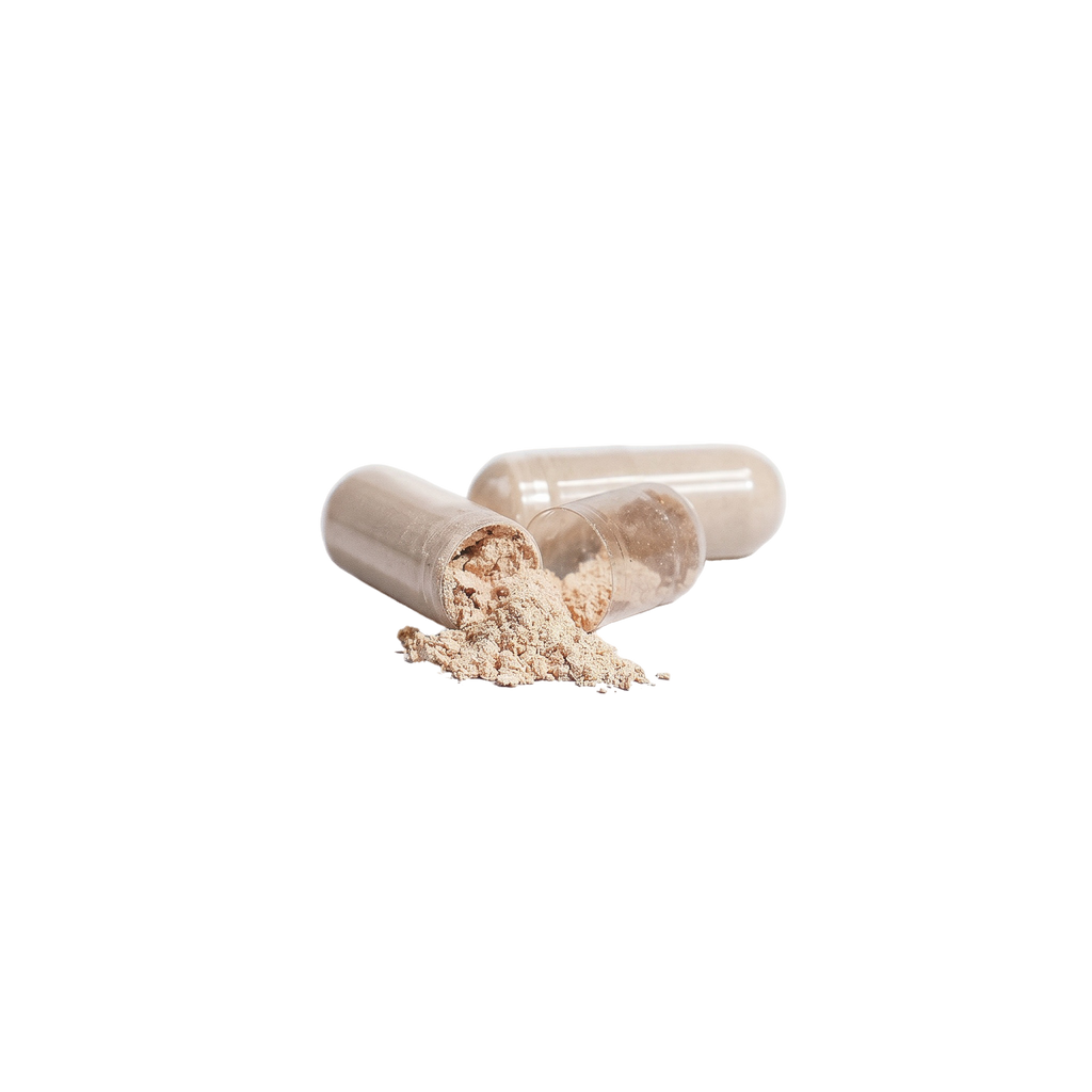Lion's Mane Mushroom
