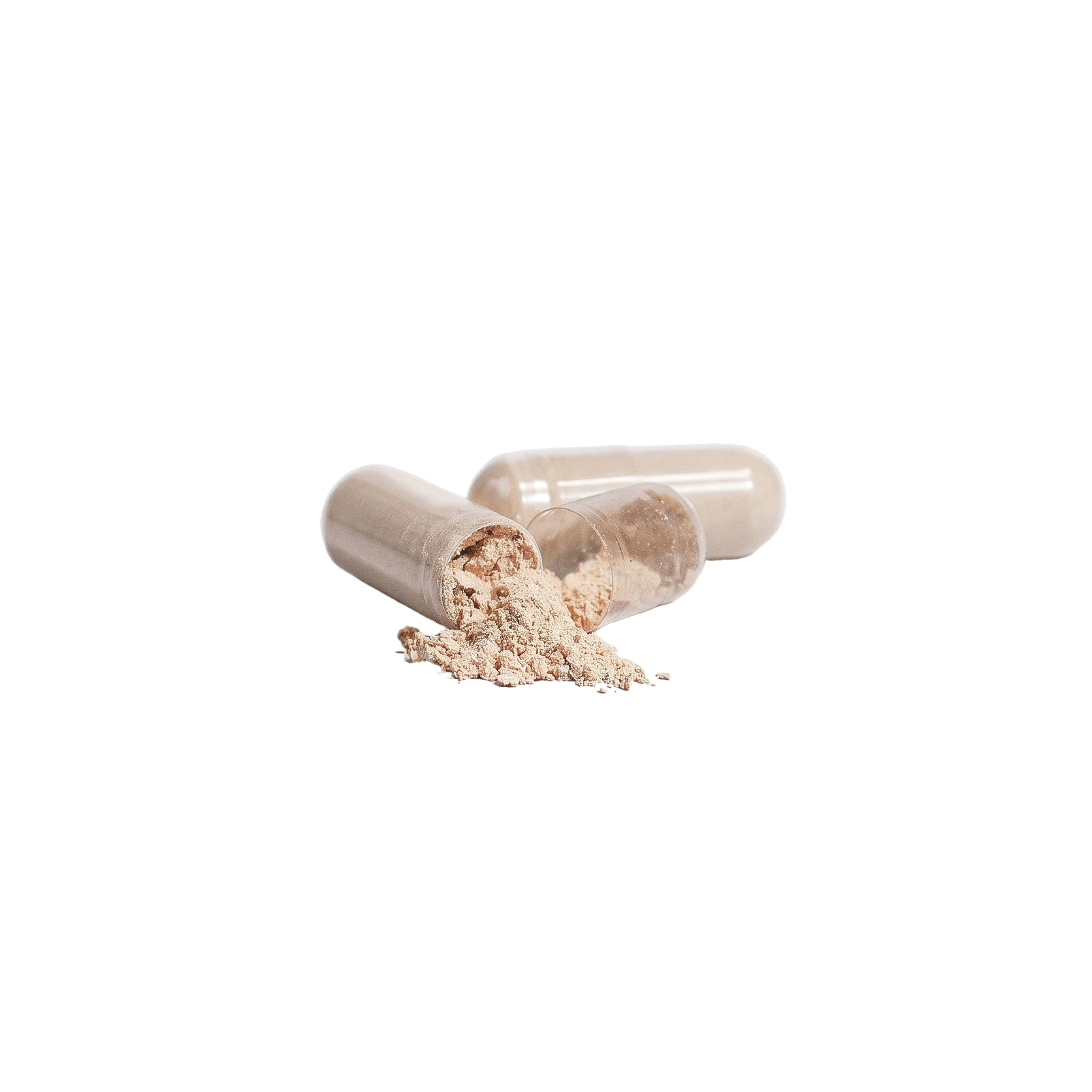 Lion's Mane Mushroom